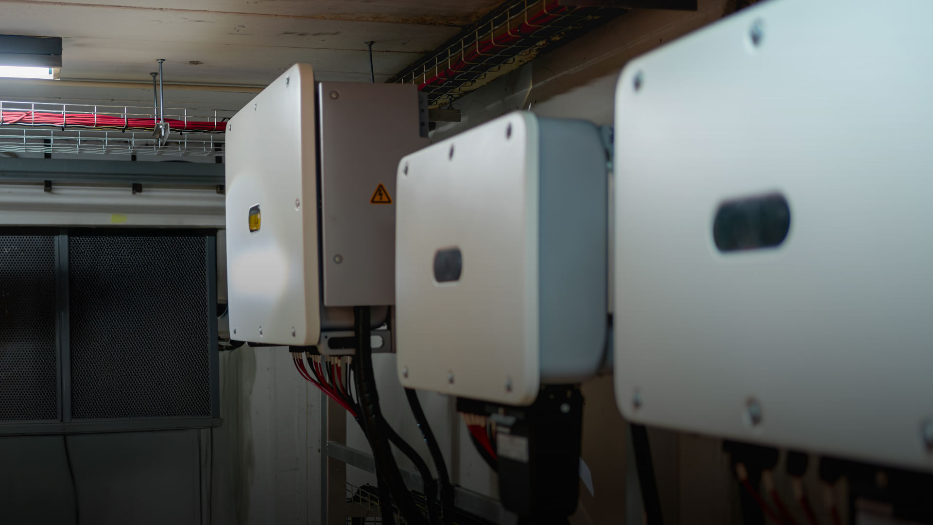 avt